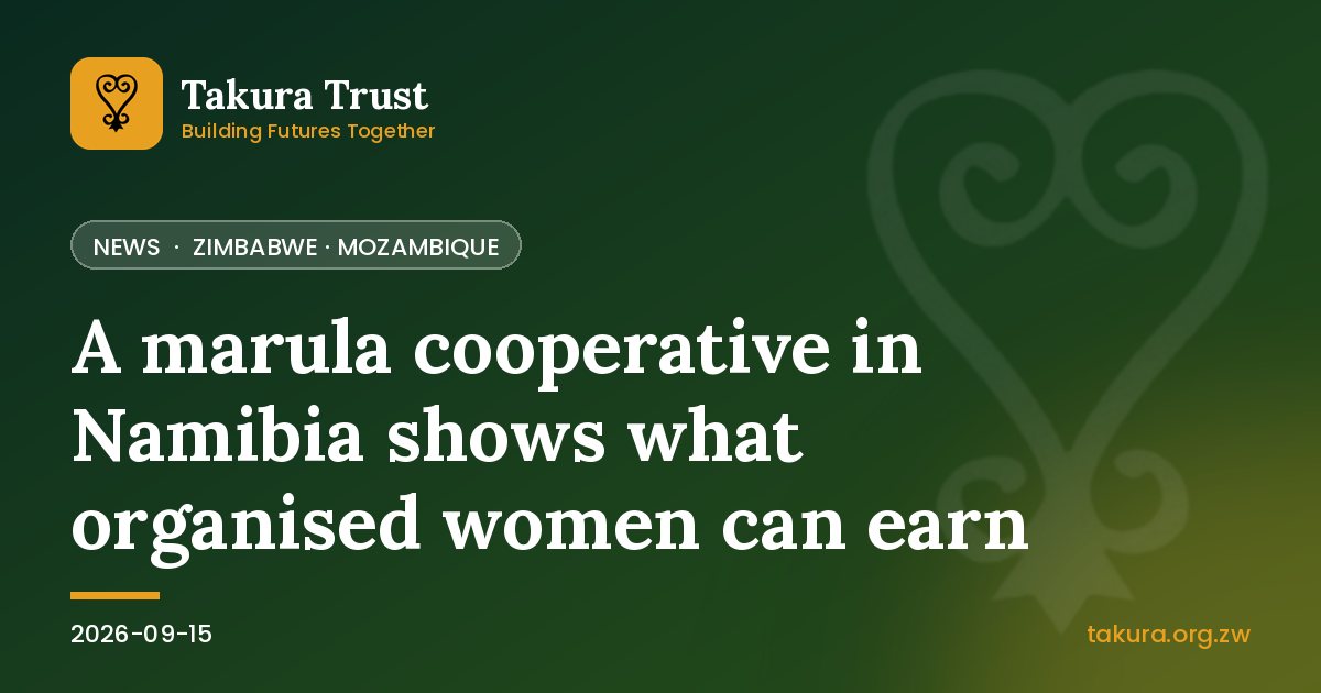 A marula cooperative in Namibia shows what organised women can earn