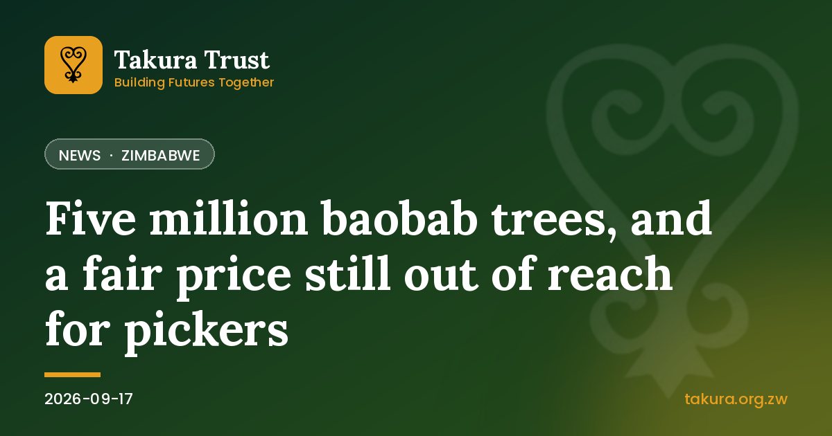 Five million baobab trees, and a fair price still out of reach for pickers