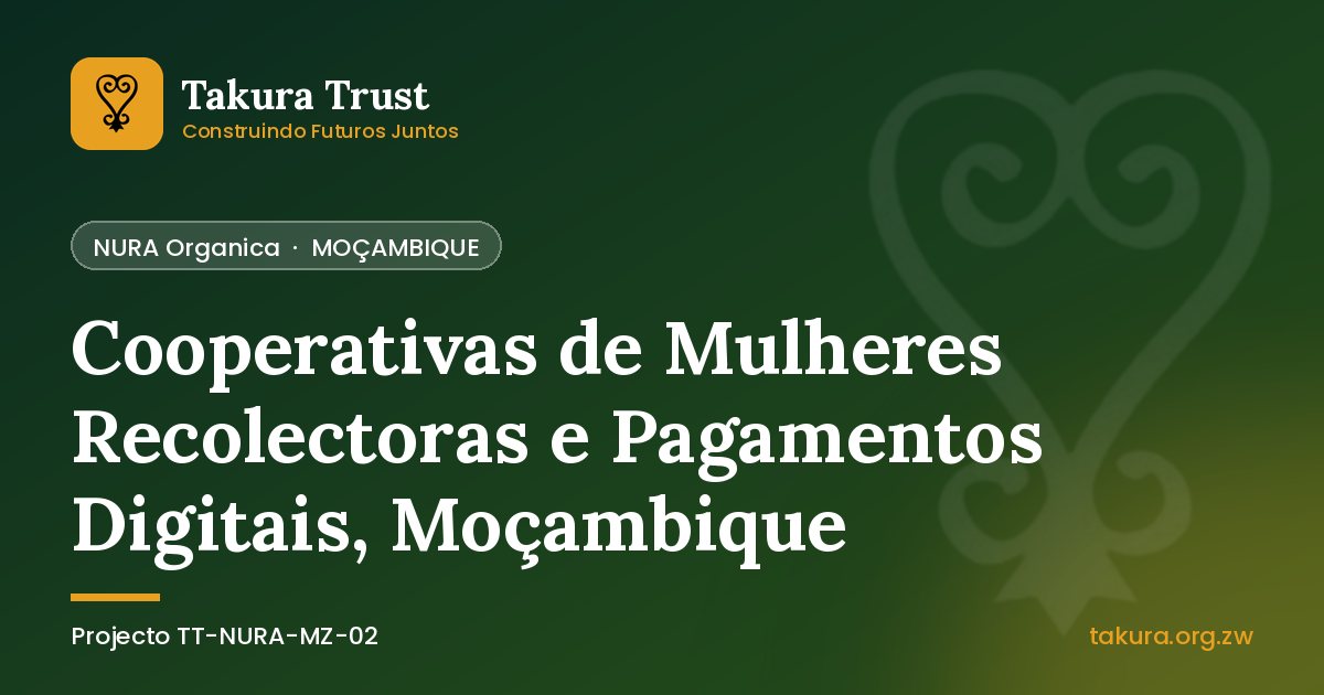 Cooperativas de Mulheres Recolectoras e Pagamentos Digitais, Moçambique